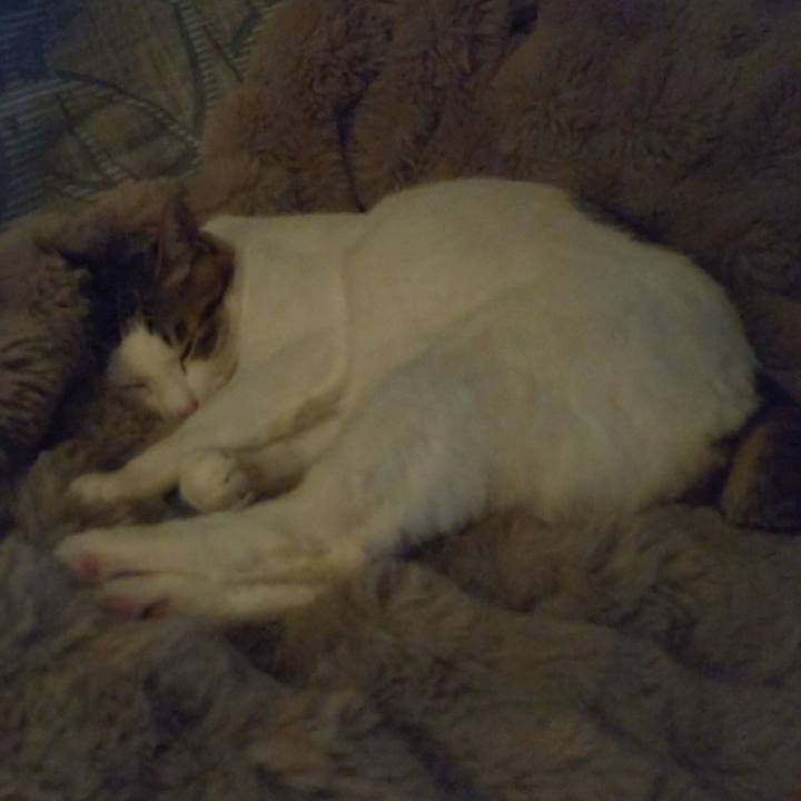 315b30e0 8bcf 47c6 8ab9 2f2674f2d74f 1742651950476