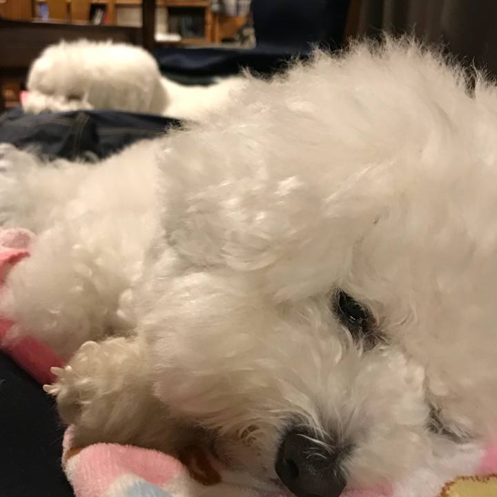 315b5b5e 2ea4 4dfb 9c75 f5105ad13741 1545553701068