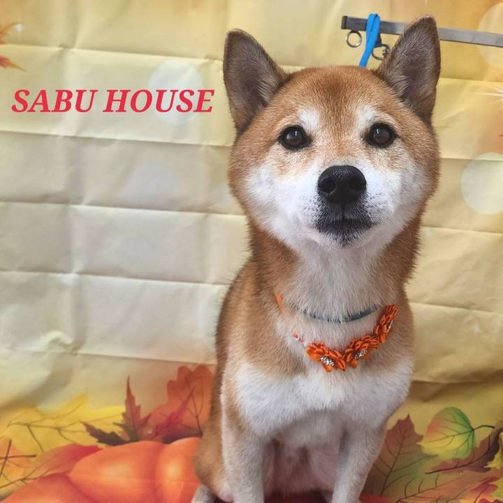 315b832c aacd 4275 a8ed 6aa9b9d79769 1726232707554