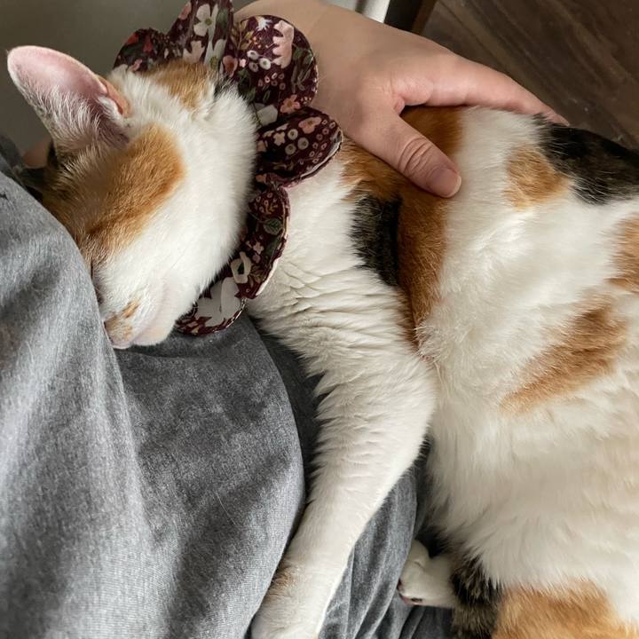 315bbef3 4297 42b5 9bb8 3ea0e84e5eb8 1748153885414