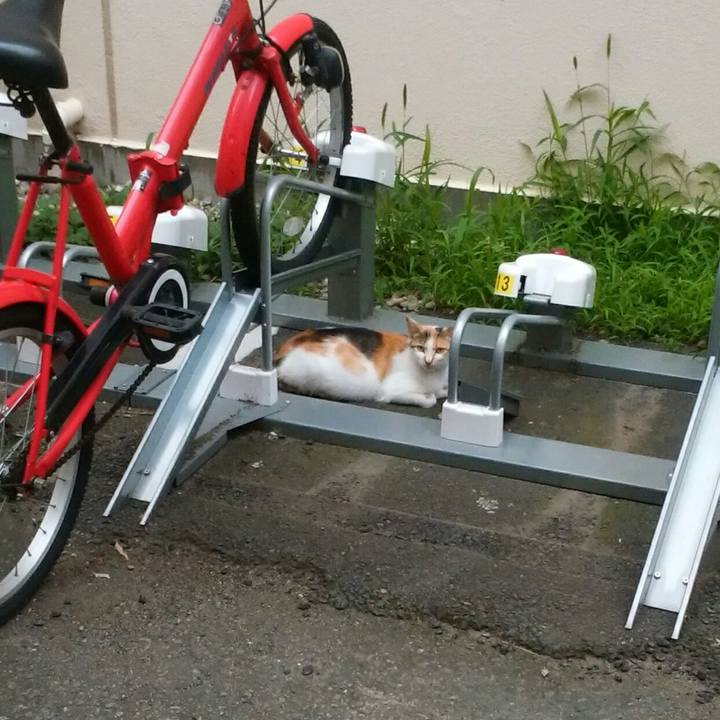 315c0418 5b95 4b24 831f e68bad5c20d6 1593723983954