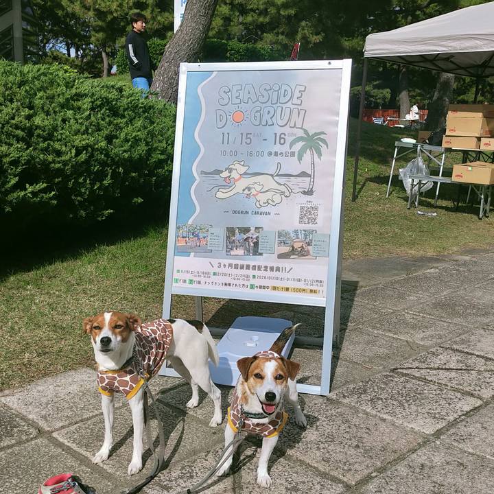 315c0669 f890 4be6 a1e3 5b6109488597 1763287543734