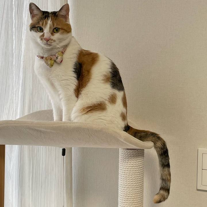 315c13c1 aa8e 4710 a0ae 1a7203acc628 1647572696862