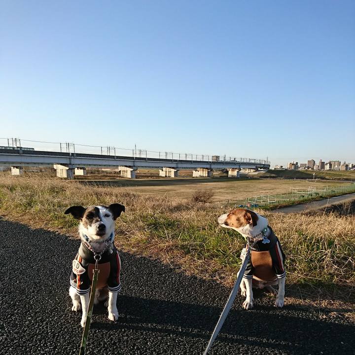 315c3af8 9a8f 46b8 9863 ab2e3e55d4f9 1577775097310