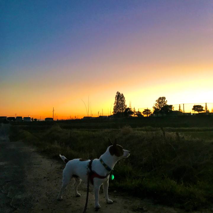 315c886d c8b6 4074 ac30 369304eab439 1512305546023