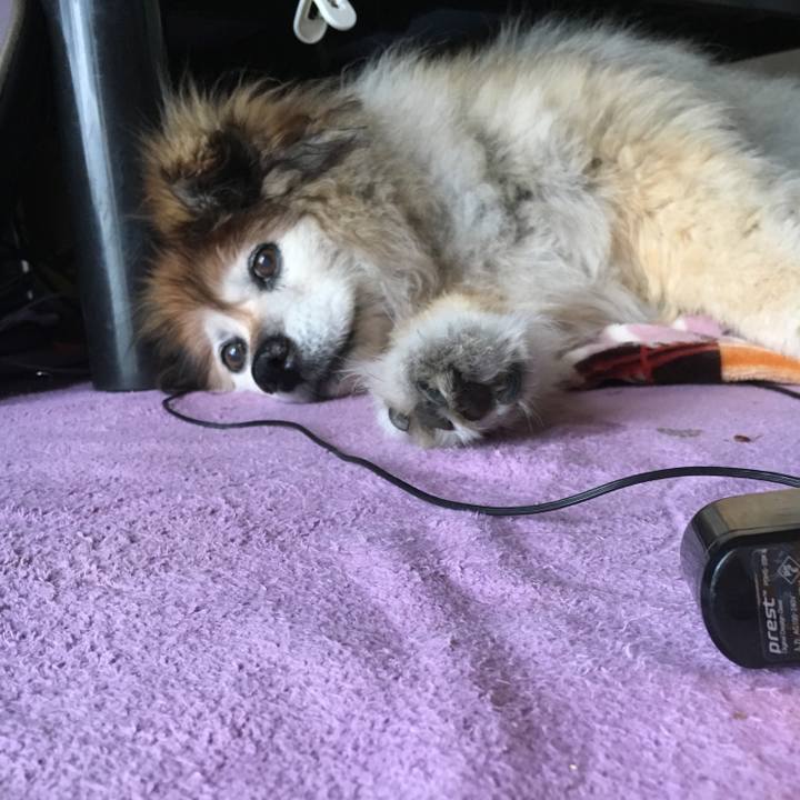 315c8a63 71da 420a b59f 247af30063a3 1617199875034