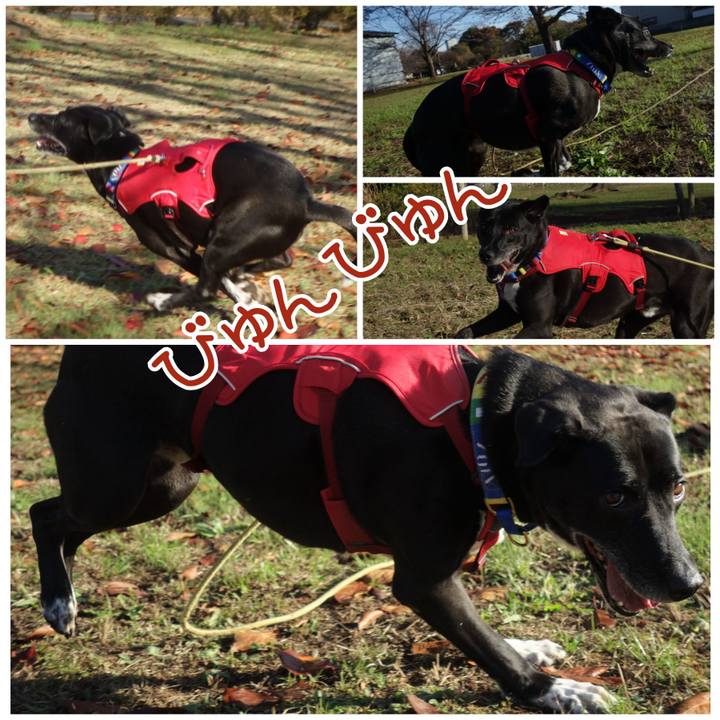 315c9567 8216 45b1 b5f5 9c2194f54cae 1668823943755