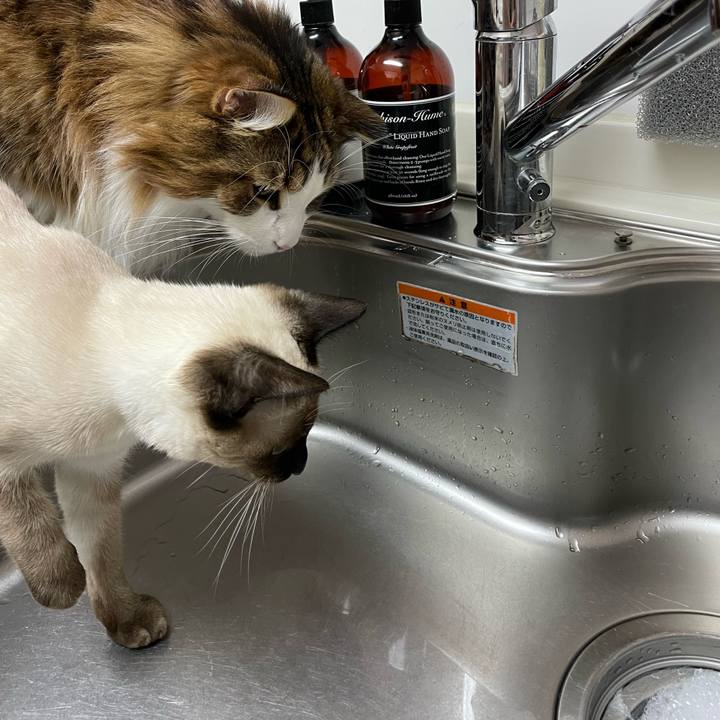 315cb40e a65c 4bcd aab7 a4b5150dedca 1700769724934