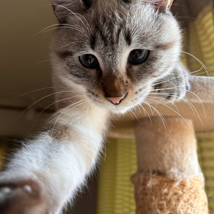 315cc2a8 12eb 4865 adb2 874ea54218d7 1734563702540