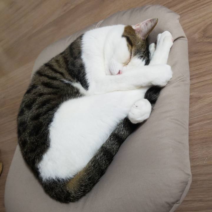 315cd0e9 e43e 4ec2 bb59 c771e45b111d 1590322837234