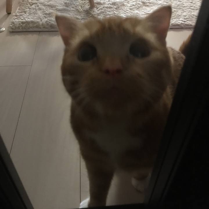 315d28ef 342e 4d9c a8ed 8296b7d7e3fa 1510878876717