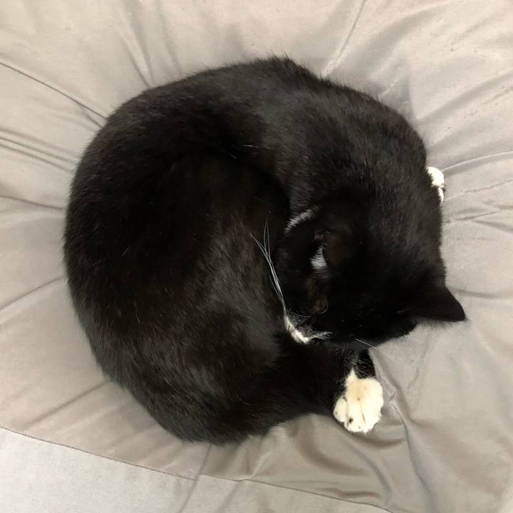 315d4ee8 0235 41ae b048 57a629d09355 1517370362432