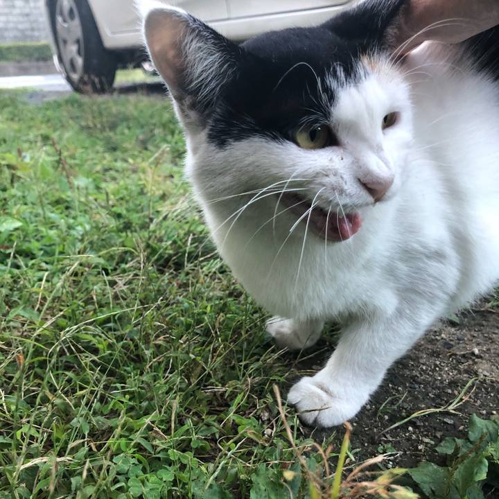 315da59b 338f 40ad a1e9 edb5fc04c3e4 1600088170457