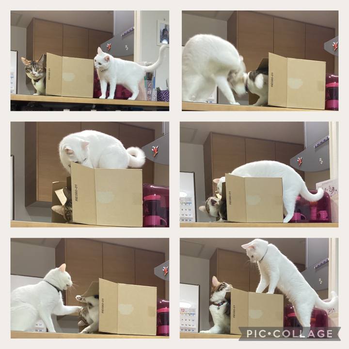 315db164 7185 41ab b1b0 62bf58108334 1670377285150