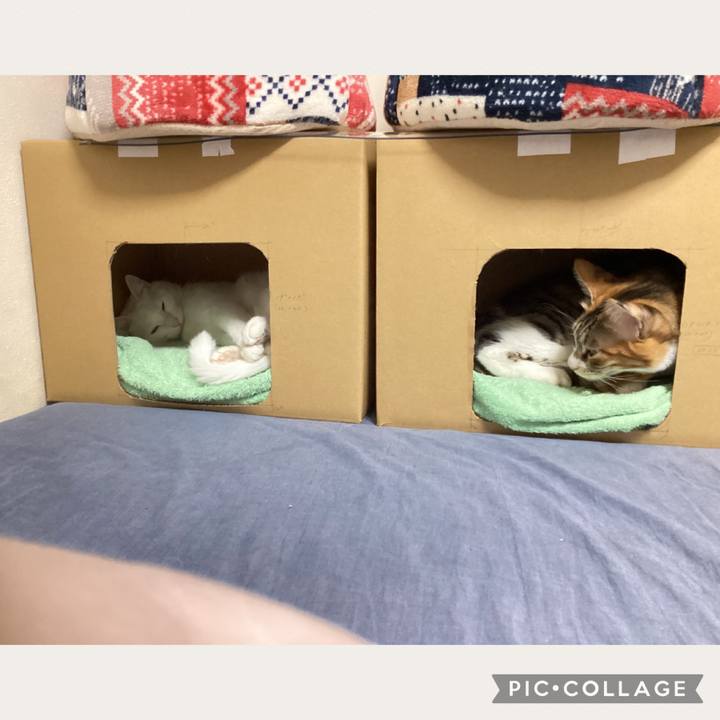 315db580 94c8 4135 a9f3 86945061c368 1675040037107