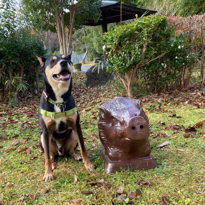 315dc8d4 dc1a 44d9 9cef 7aefcf827a57 1606051949935