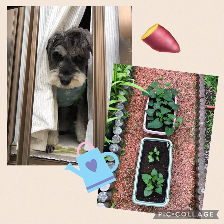 315e3b2d 56d4 4afd 844d fc1c11e45291 1655557383243