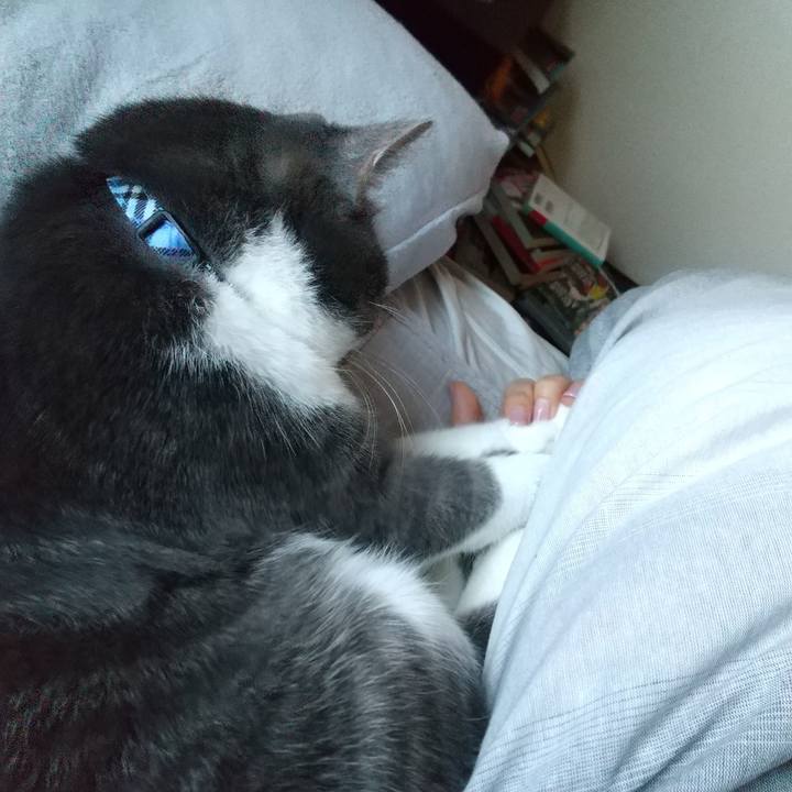 315e4926 d5ac 4b7c a6e2 ac8ab87b4baa 1605309423816