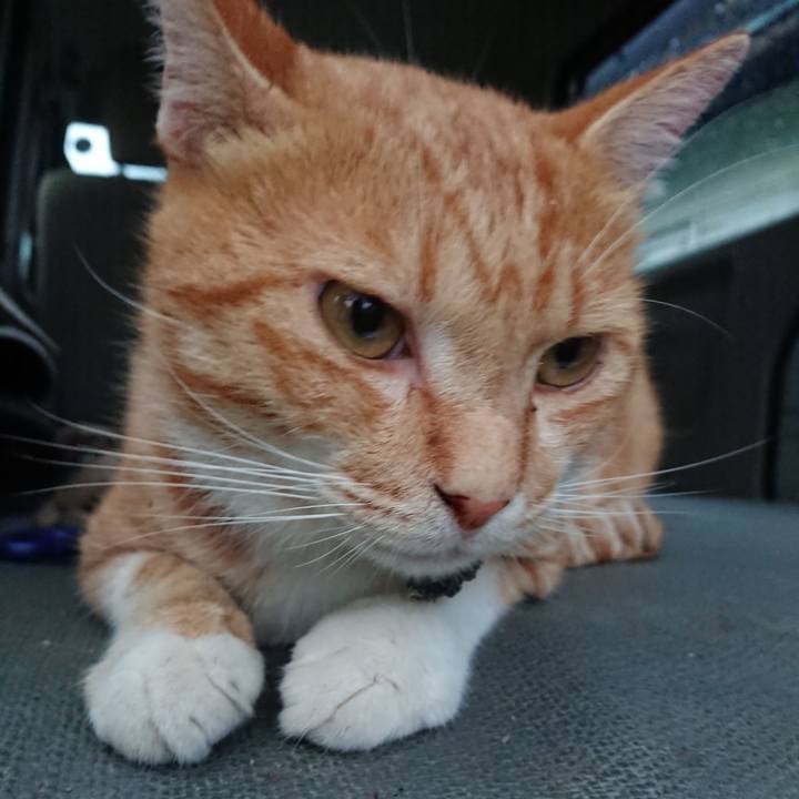 315e4bde 248a 4b7f 88c7 0f03b935c139 1566207329544