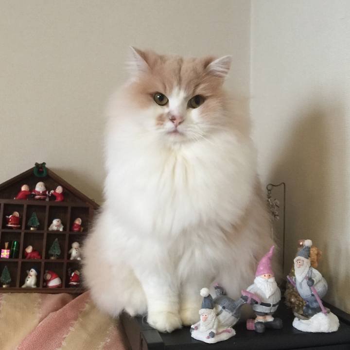 315e6f16 a0ac 4aee 9956 152c710543c5 1513839543722