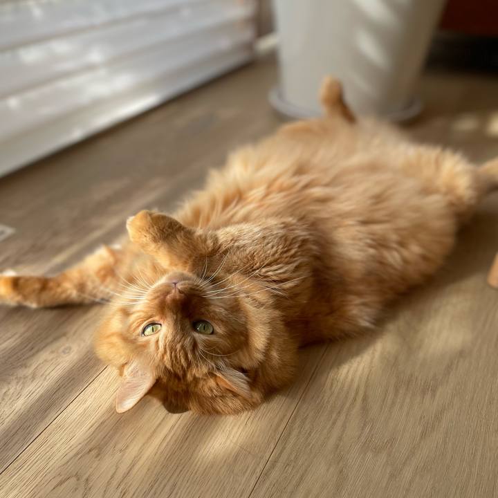 315e7409 5f86 4746 ae4b 91c16dd29140 1763169176207