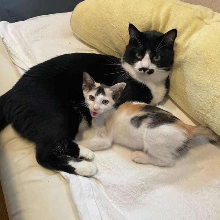 315e9bc3 e37e 4a38 a4ba c1e9b68686c6 1658453994292