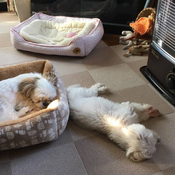 315ea67c c765 48b2 bede 0ccaf7b78e54 1508281593030