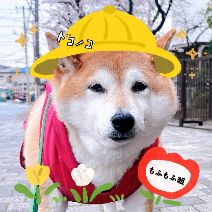 315eafe9 b62a 4fe9 baae c97e14e04284 1712200607518