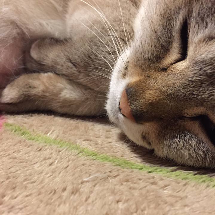 315ebb55 76a0 4f13 87f1 4a38cd3939f5 1521457220350