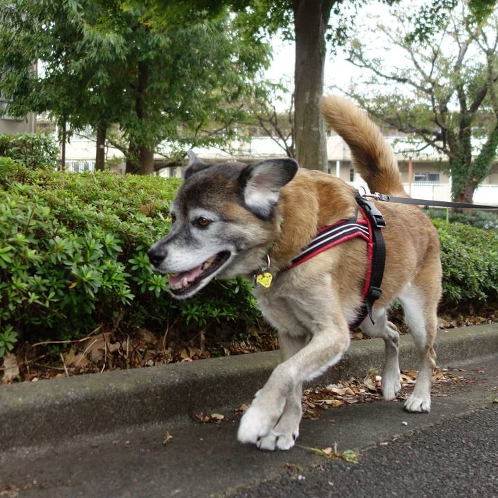 315ebba7 ba19 47b7 b7d9 8b9e7411d12a 1572739789207