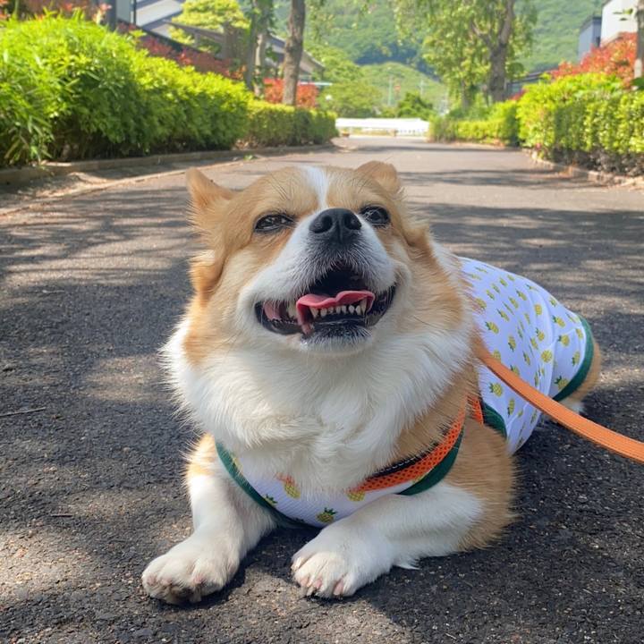 315ee3a4 012d 406b ac44 b33b3f06e00e 1715393226016