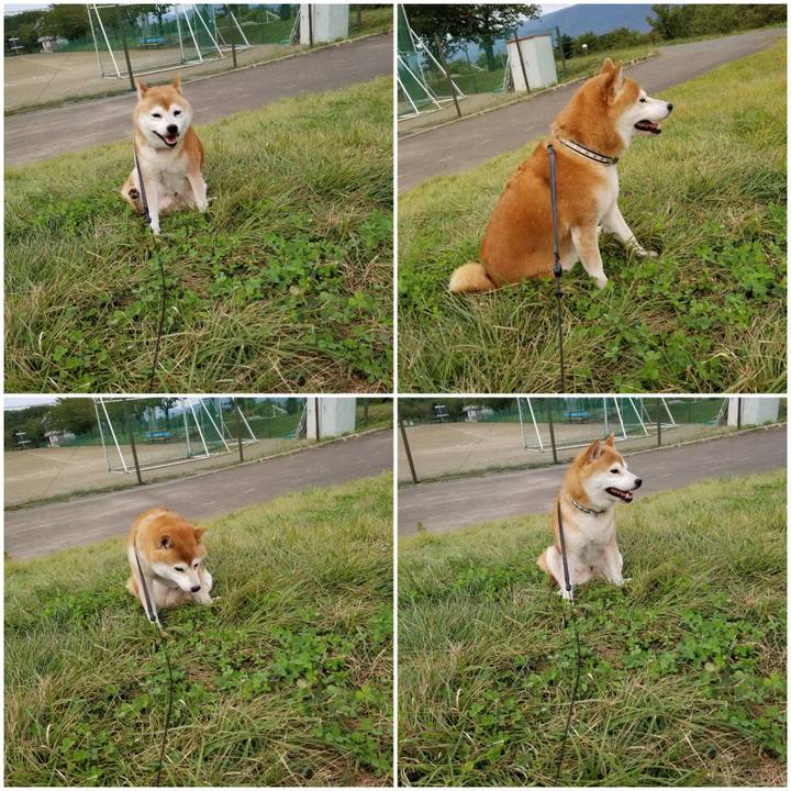 315eeded 46b1 48cb 9152 576dc15df228 1600848589894