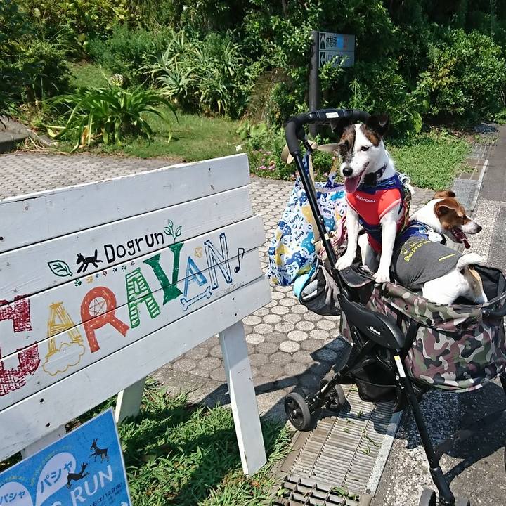 315f0d8f 3cad 4065 9e23 01325501b6ff 1533965487316