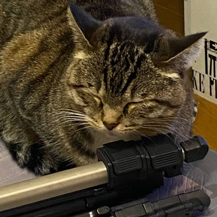 315f1924 e0b6 4d4c 964d 8ef7a0be432a 1649518358856