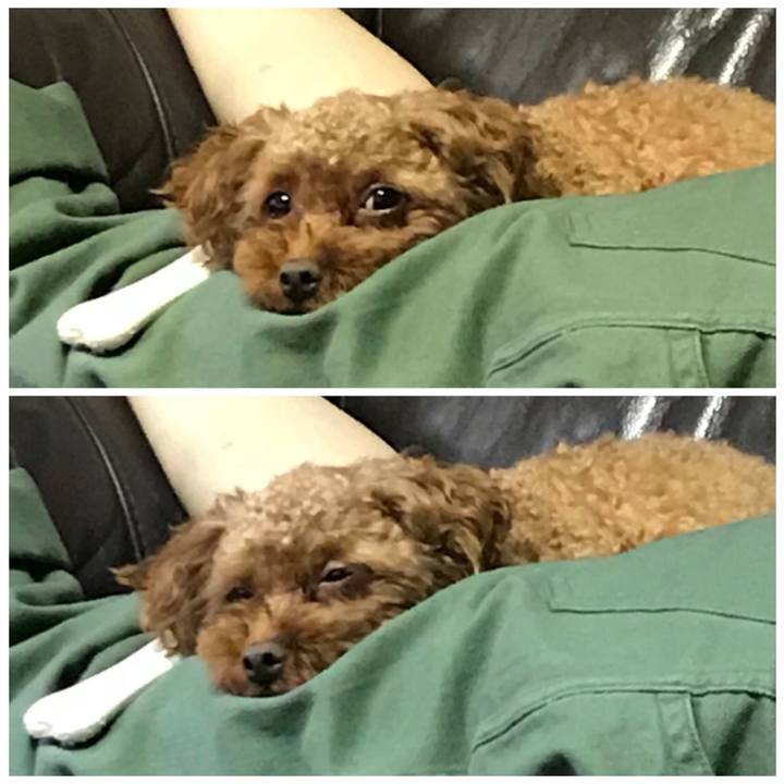 315f192d 3808 4923 857e 25be98f07545 1534033902668