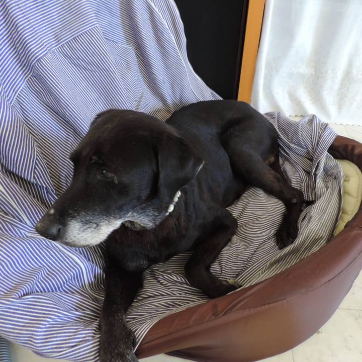 315f2d4d 6fd4 40c5 8ba8 29099ed2292f 1549289735031