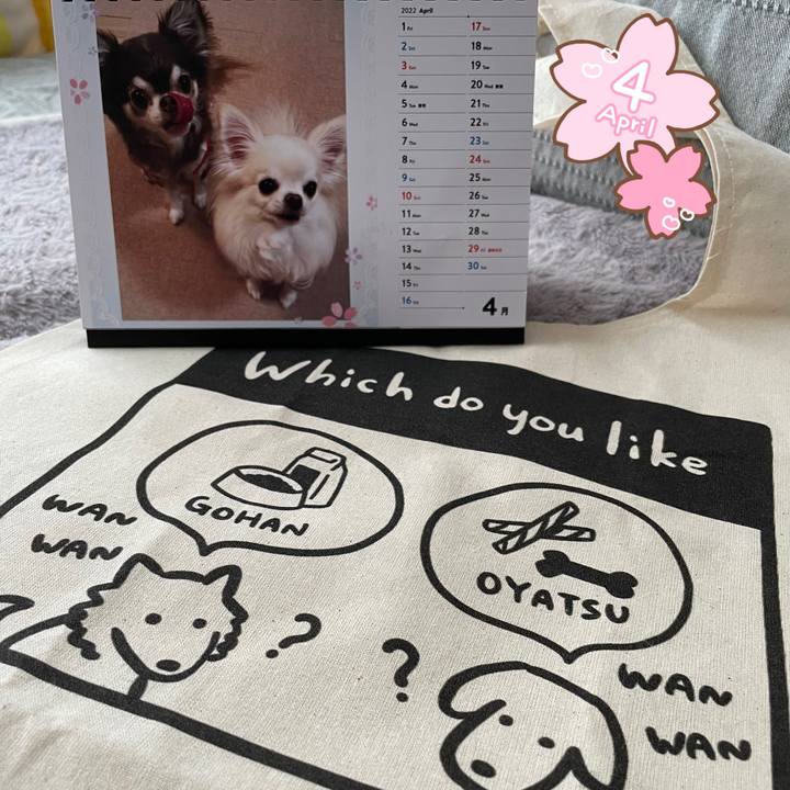 315f3575 7c0e 41a4 b72b 76828155a20f 1648783636986