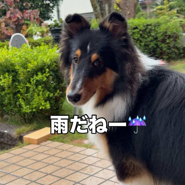 315f3962 4e4d 42d8 8ced 1e929d1262ce 1762704079784