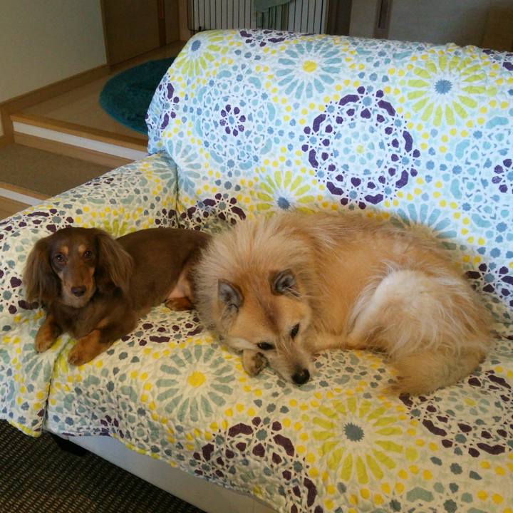 315f7265 66ad 4a04 af76 97a2d7d66391 1521791597862