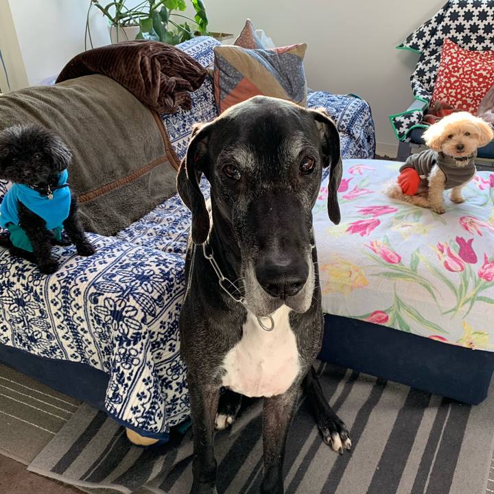 315f78b9 cd89 4ec1 a351 964f46bc3291 1548629390747