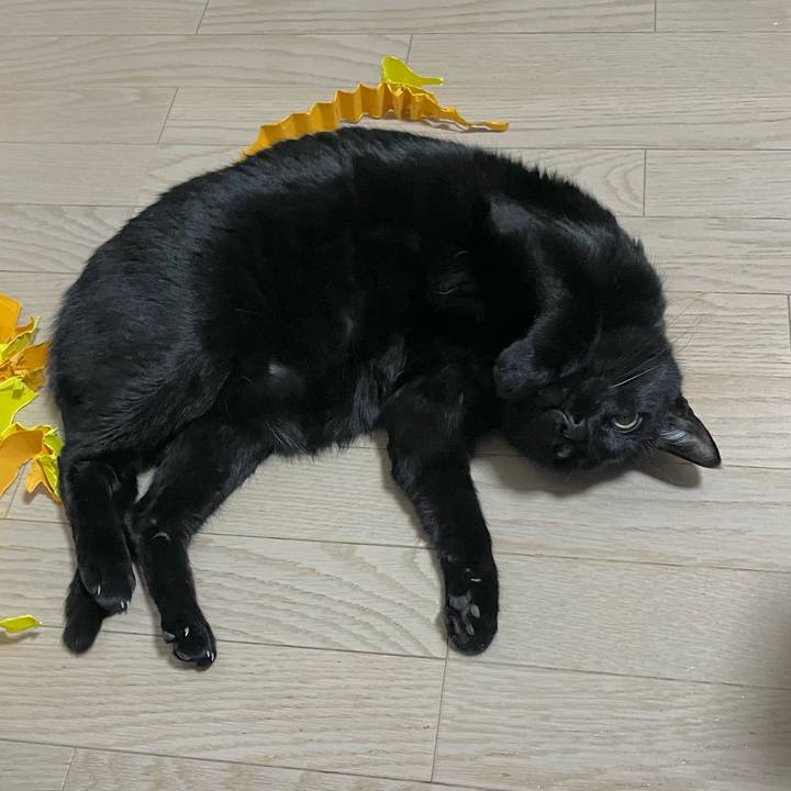 315f8b0f 4c9a 4ae0 8952 93c0260c419f 1706535220210