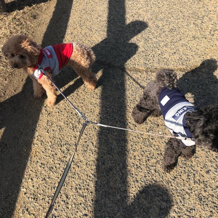 315f9116 5a3f 4be7 85e9 e13bc063ef4c 1610607741099