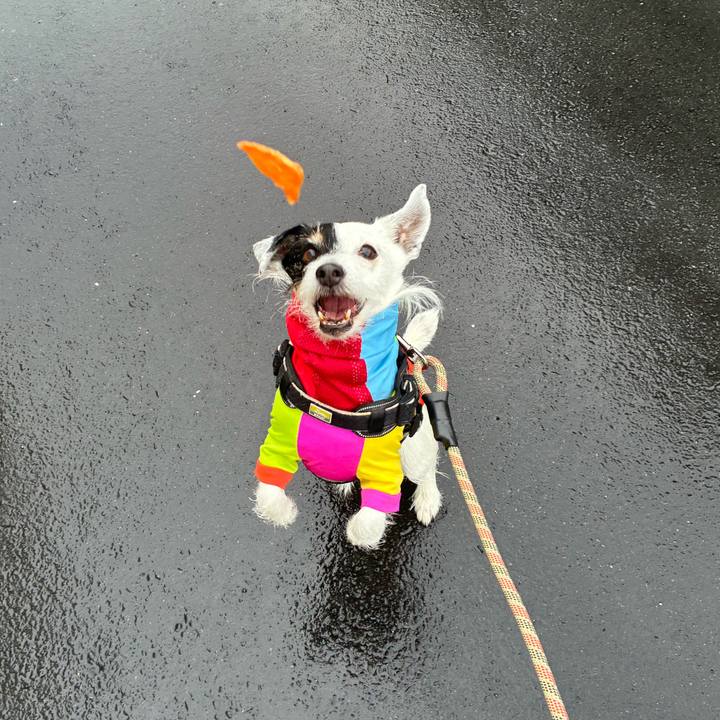 315f9da0 ab4b 4cf1 9e95 4117512a220c 1771982214816