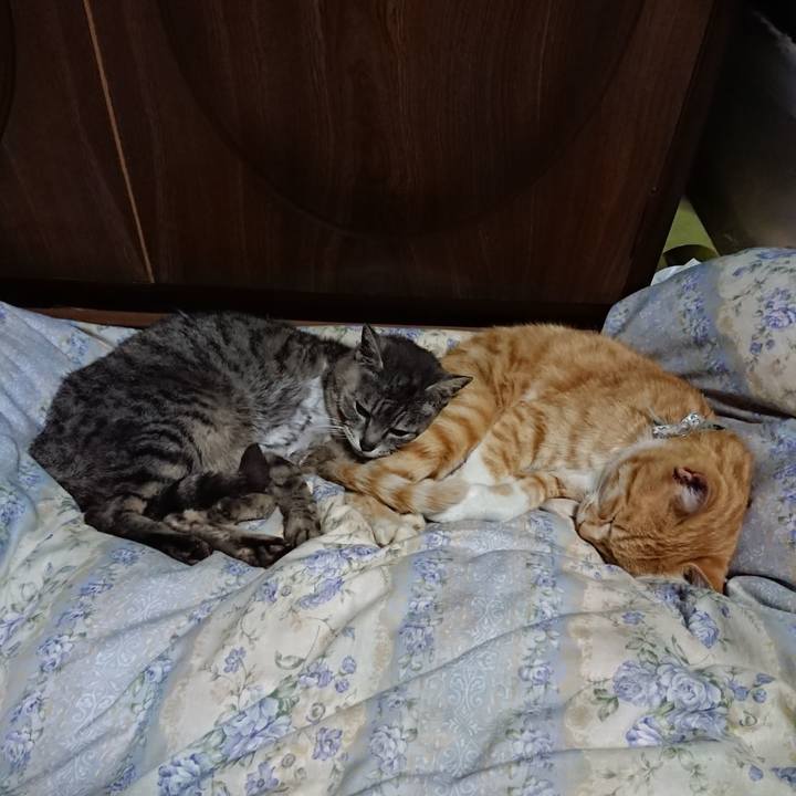 315fc990 3e05 43c0 9c7f e29df5c3695b 1590238300940