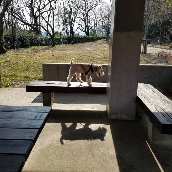 315fd454 89b5 44b4 9dca 3da443d80b42 1551516579570