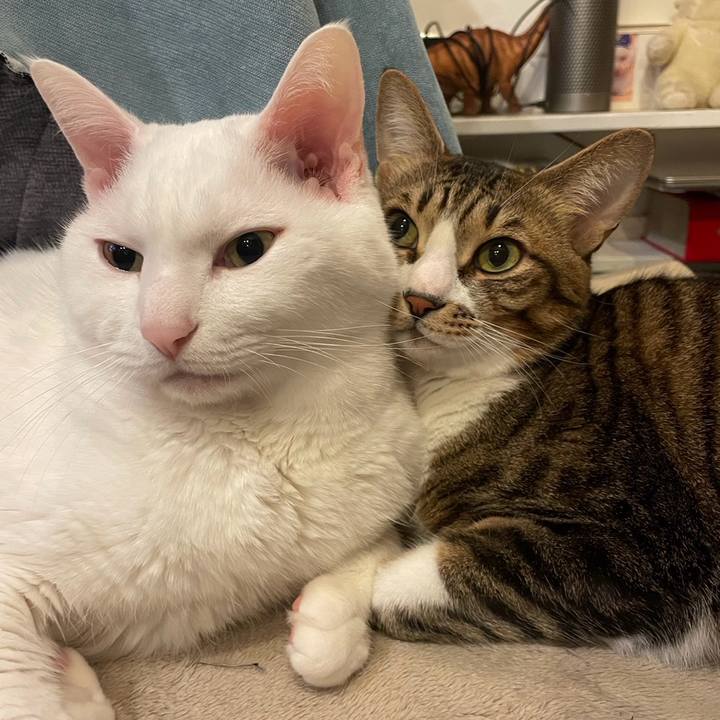 3160285f e1c9 4991 b231 3d46861fe87f 1731019389445