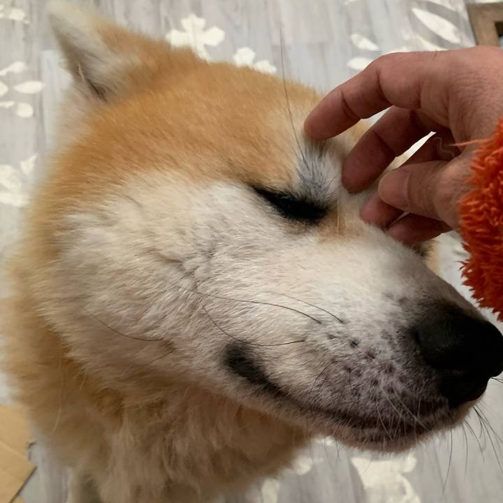 316032d9 3fbf 4e0b a5be 17530fd61358 1706437638200