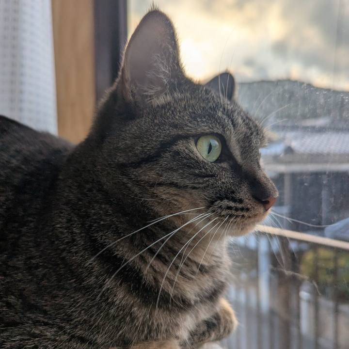 31607225 15c5 42a7 86d9 5cedc855394b 1771325706359