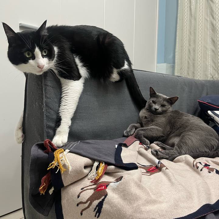 3160901d 71c6 497c a440 3953e815ee6e 1760177887698