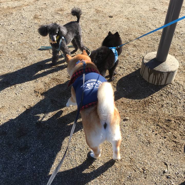 31609447 3d29 43c9 8460 b6b93884e3b4 1542938070731